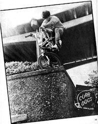 Shreddin' July 1985 Page 18