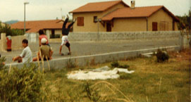 Handstand on a Skateboard